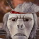 Illustration for article titled These monkey brain bowls are Kali-Maaarvelous